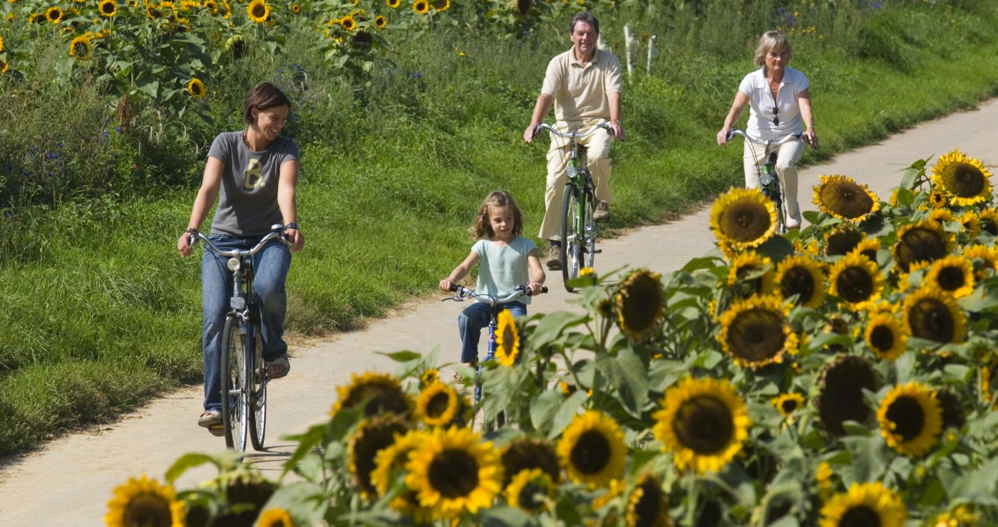 fietsen haspengouw pachthof